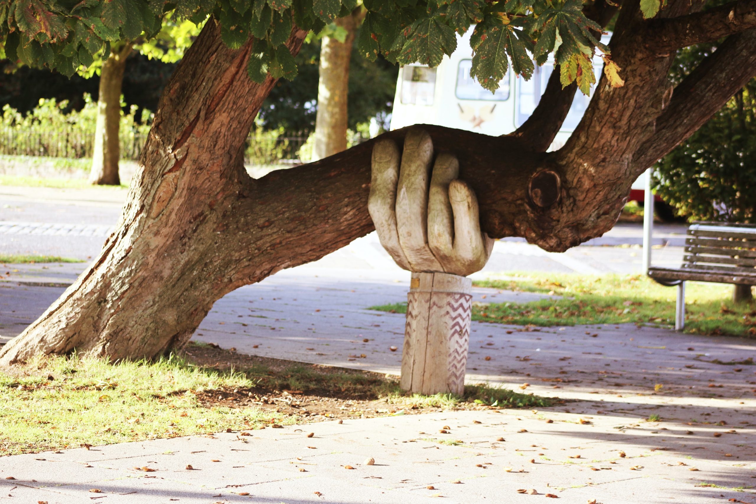 pochylone drzewo podparte filarem w kształcie ręki